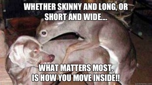 Anal Sex
