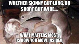 Anal Sex