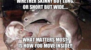 Anal Sex