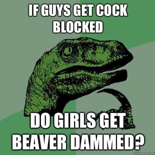 Philosoraptor