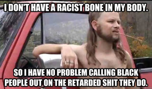 Almost Politically Correct Redneck
