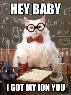 Chemistry Cat