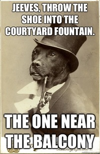 Old Money Dog