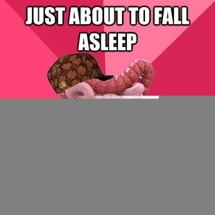 Scumbag Intestines