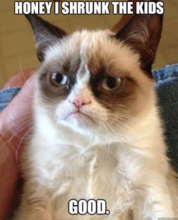 Grumpy Cat