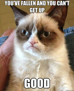 Grumpy Cat