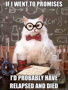 Chemistry Cat