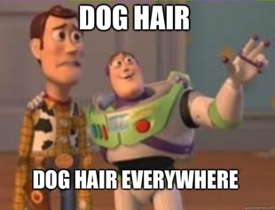 buzz lightyear
