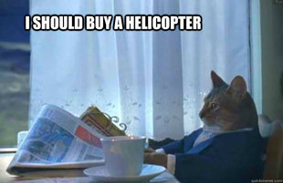 Sophisticated Cat