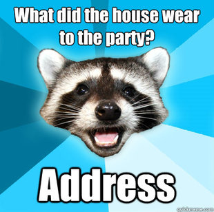 Lame Pun Coon