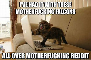 Mad Cat