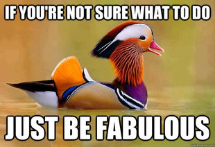 Fabulous Advice Mandarin