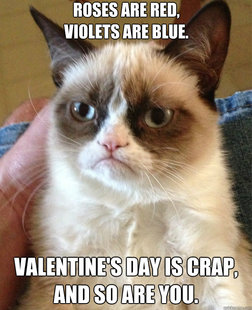 Grumpy Cat