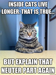 Chris Hansen Cat