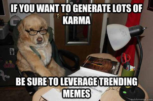 Financial Advice Dog
