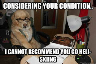 Financial Advice Dog