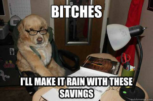 Financial Advice Dog