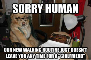 Financial Advice Dog