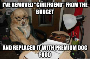 Financial Advice Dog