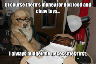 Financial Advice Dog