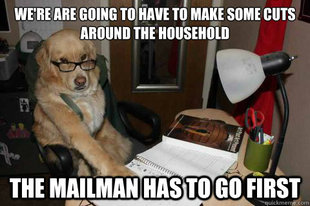 Financial Advice Dog