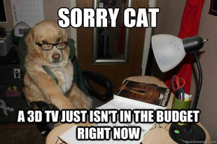 Financial Advice Dog