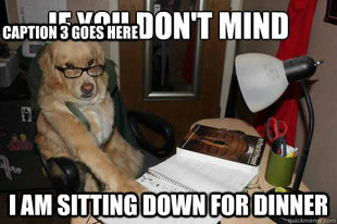 Financial Advice Dog