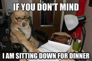 Financial Advice Dog