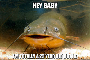 Catfished