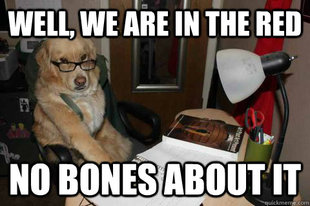 Financial Advice Dog