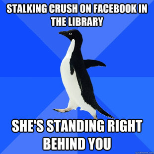 Socially Awkward Penguin