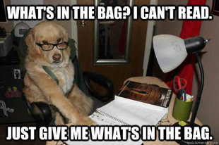 Financial Advice Dog