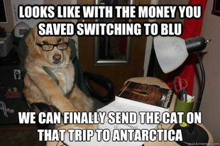 Financial Advice Dog