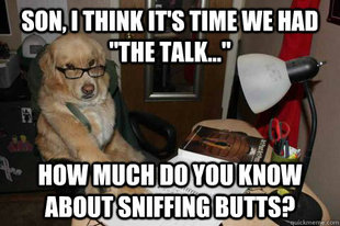 Financial Advice Dog