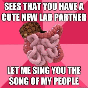 Scumbag Intestines