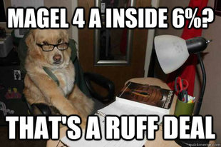 Financial Advice Dog