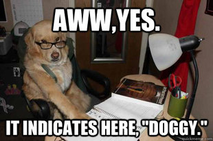 Financial Advice Dog