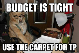 Financial Advice Dog