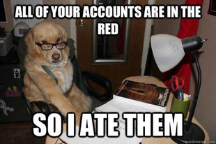 Financial Advice Dog
