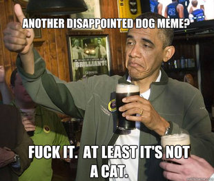 Upvoting Obama