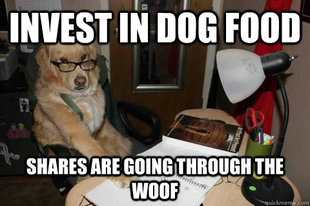 Financial Advice Dog