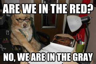 Financial Advice Dog