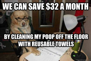 Financial Advice Dog