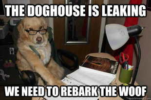 Financial Advice Dog