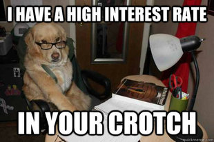 Financial Advice Dog
