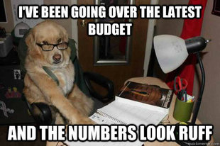 Financial Advice Dog