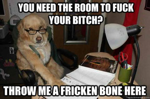 Financial Advice Dog