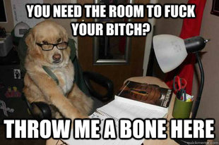 Financial Advice Dog