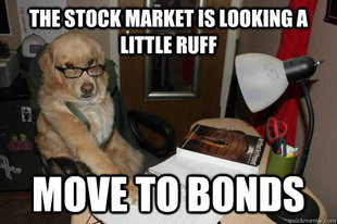 Financial Advice Dog