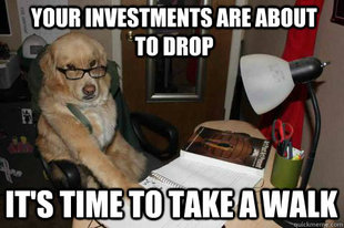 Financial Advice Dog
